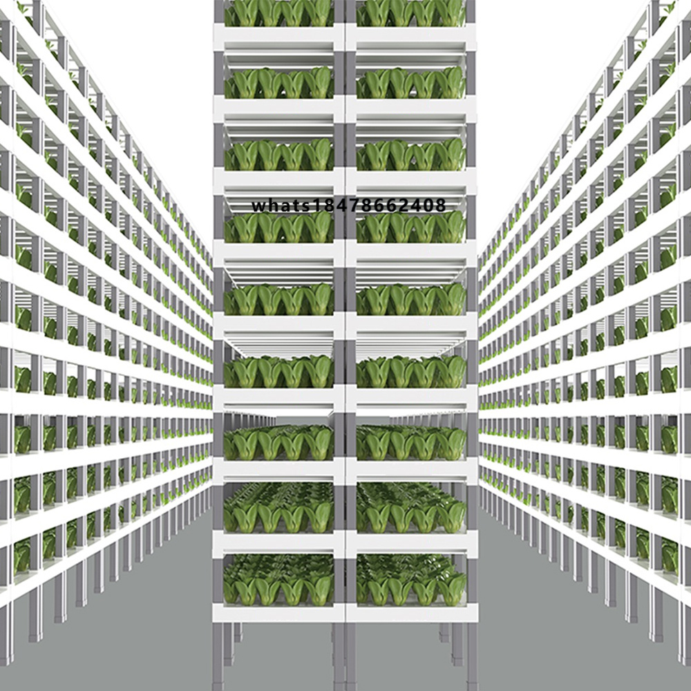 Hydroponic System - ระบบปลูกผักไฮโดรโปนิกส์อัจฉริยะควบคุมด้วยแอปพลิเคชัน ระบบปลูกผักผลไม้ไฮโดรโปนิกส์แบบโมดูลาร์สำหรับการเพาะปลูกในร่มแนวตั้ง