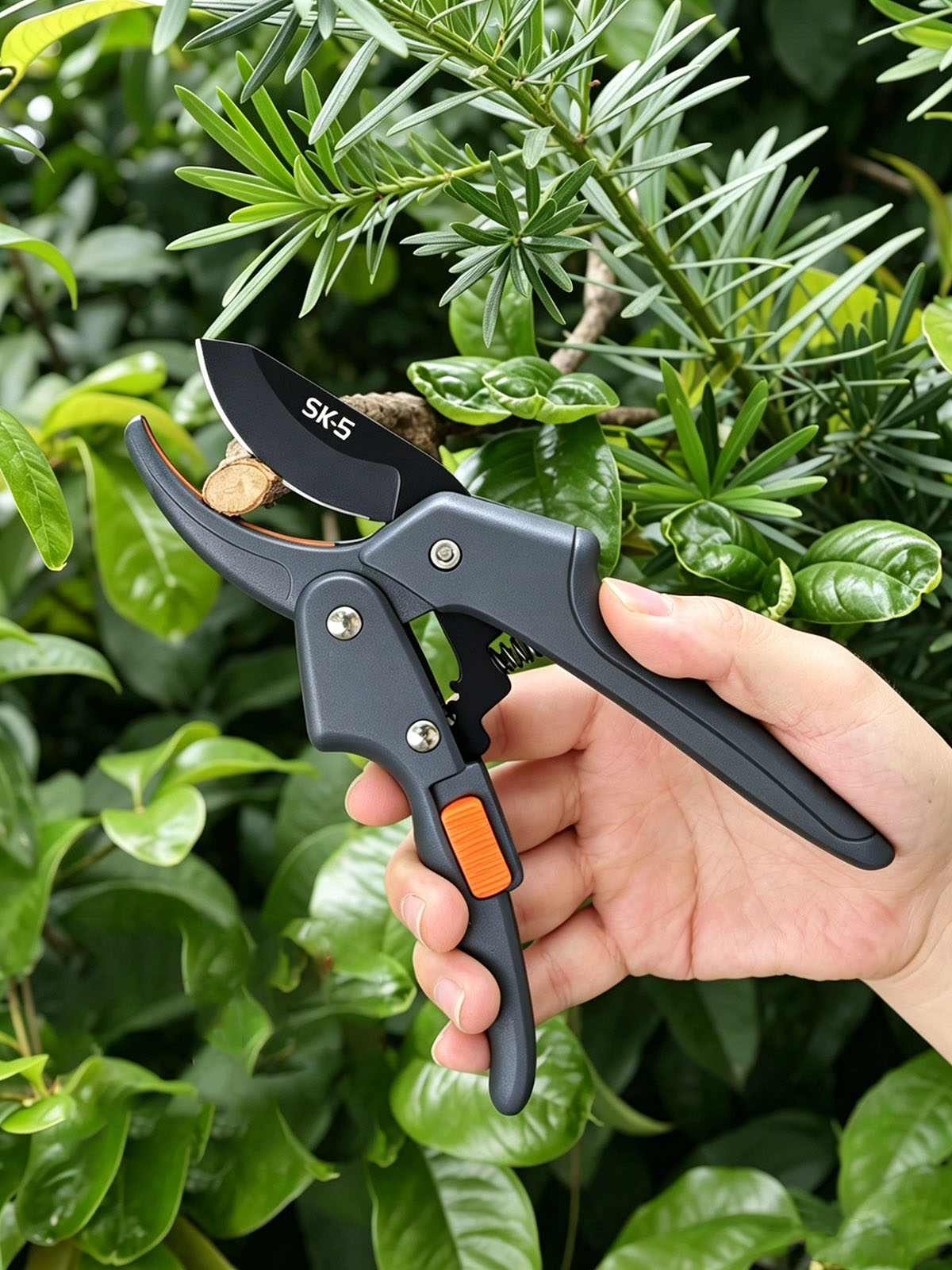 Gardening Tools To Cut Branches - กรรไกรตัดแต่งกิ่งสแตนเลส SK5 ประหยัดแรง ใช้งานง่าย สำหรับตัดแต่งต้นไม้ ผลไม้
