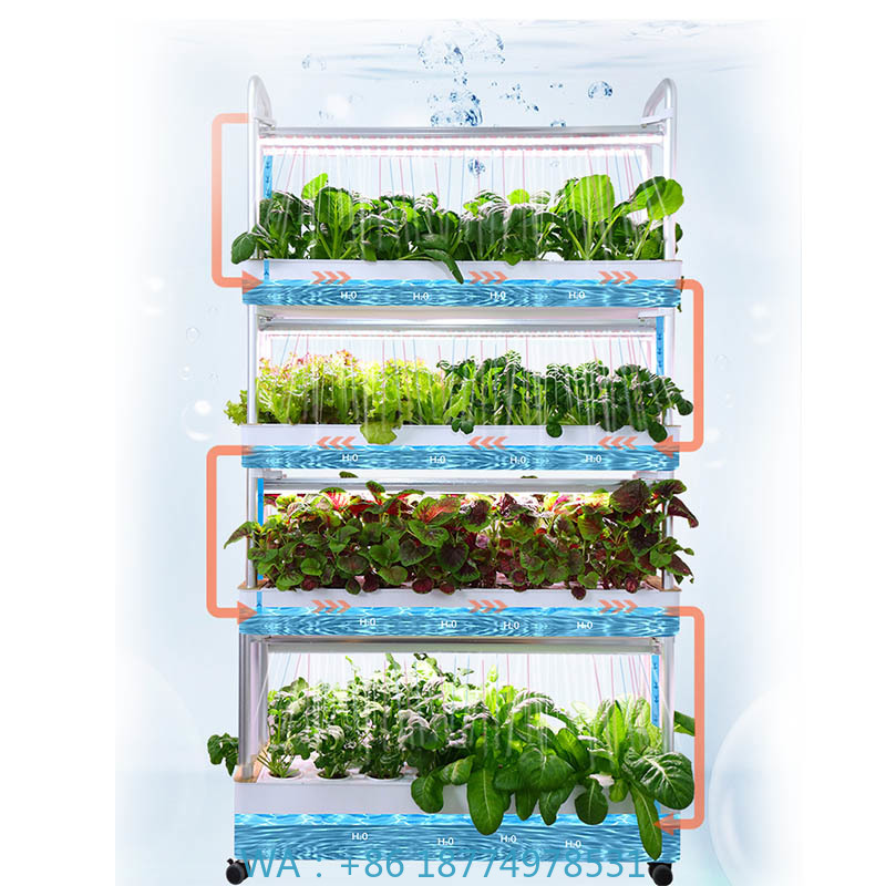 Hydroponic System - ระบบปลูกพืชไฮโดรโปนิกส์ ระบบอัตโนมัติบ้านอัจฉริยะสำหรับขาย ระบบปลูกพืชไฮโดรโปนิกส์แนวตั้งในเรือนกระจกบ้านใหม่ ขายดี