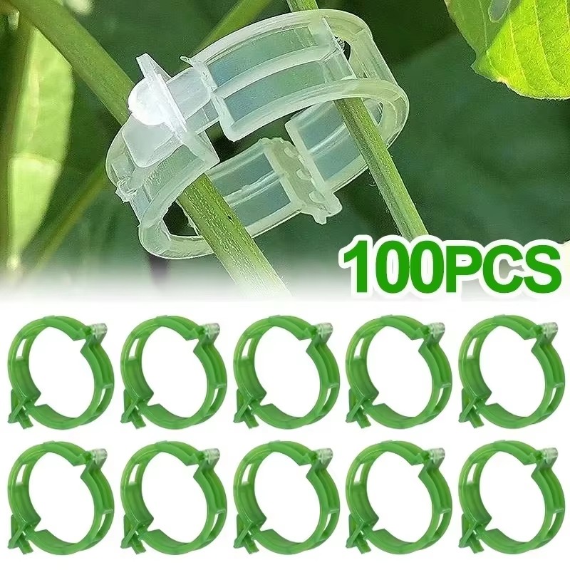 Gardening Tools For Vines - คลิปพลาสติกสำหรับยึดต้นไม้ 50-250 ชิ้น ใช้ซ้ำได้ อุปกรณ์ป้องกันเถาวัลย์และยึดกิ่งสำหรับผัก มะเขือเทศ