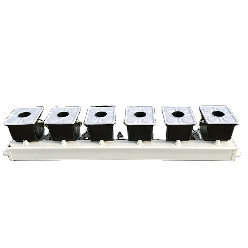 ระบบปลูกพืชแบบไฮโดรโพนิกส์แบบด - Hydroponic System บทวิจารณ์และราคา