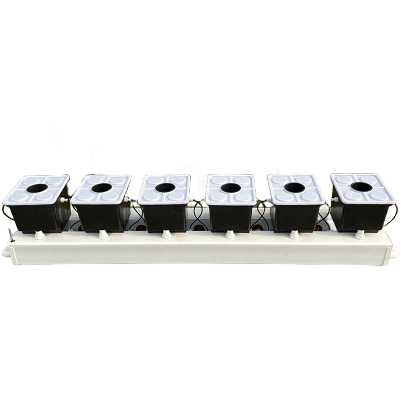 ระบบปลูกพืชแบบไฮโดรโพนิกส์แบบด - Hydroponic System บทวิจารณ์และราคา