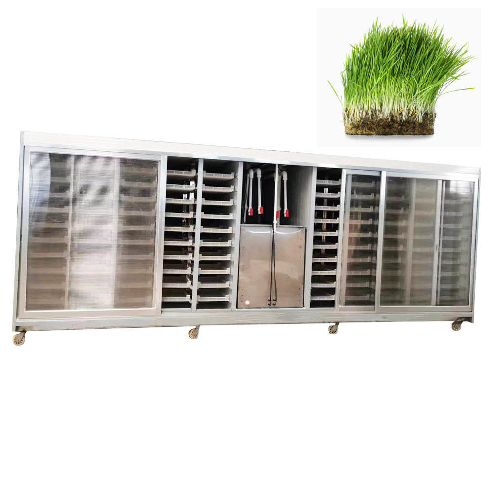 ระบบปลูกข้าวบาร์เลย์แบบไฮโดรโป - Hydroponic System บทวิจารณ์และราคา