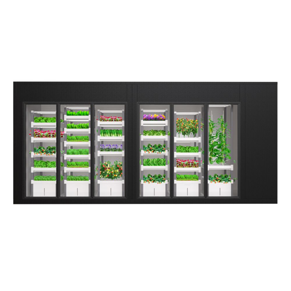 ระบบปลูกผักไฮโดรโปนิกส์อัจฉริย - Hydroponic System บทวิจารณ์และราคา