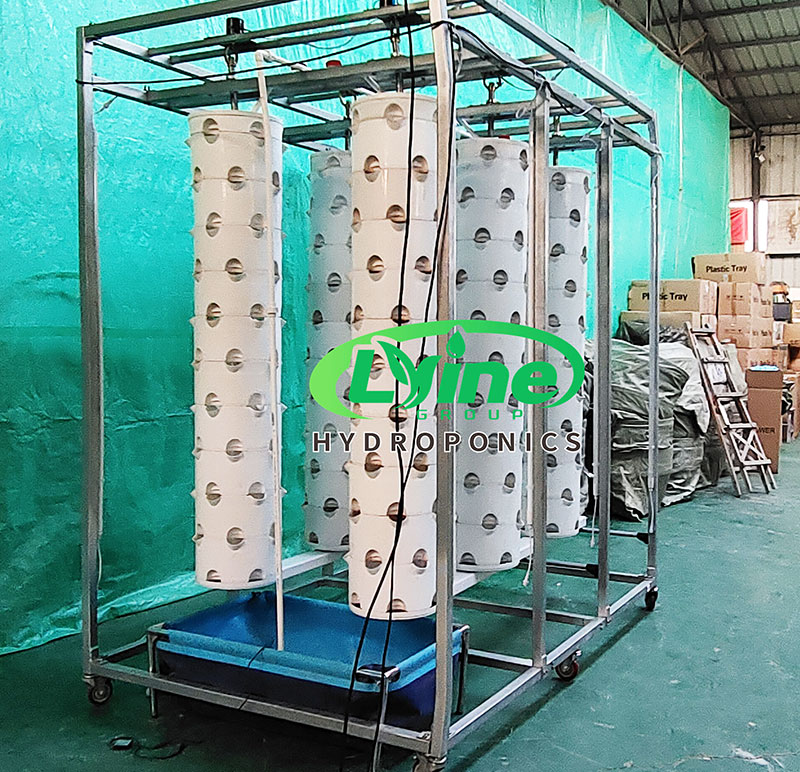 ระบบปลูกพืชแบบไฮโดรโปนิกส์แบบแ - Hydroponic System บทวิจารณ์และราคา