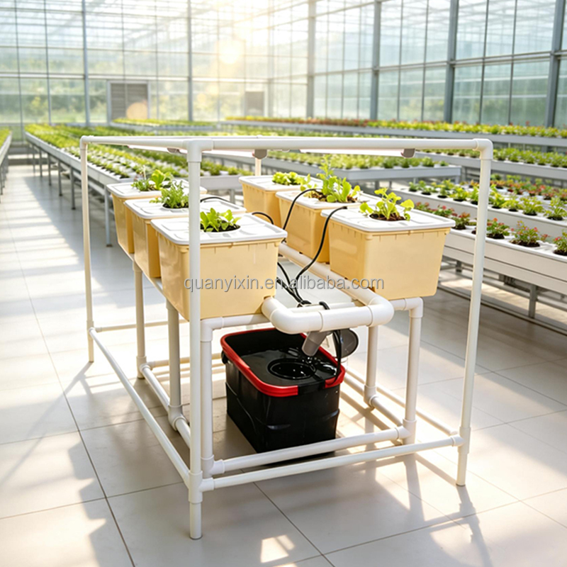 ชุดระบบปลูกพืชแบบไฮโดรโปนิกส์  - Hydroponic System บทวิจารณ์และราคา