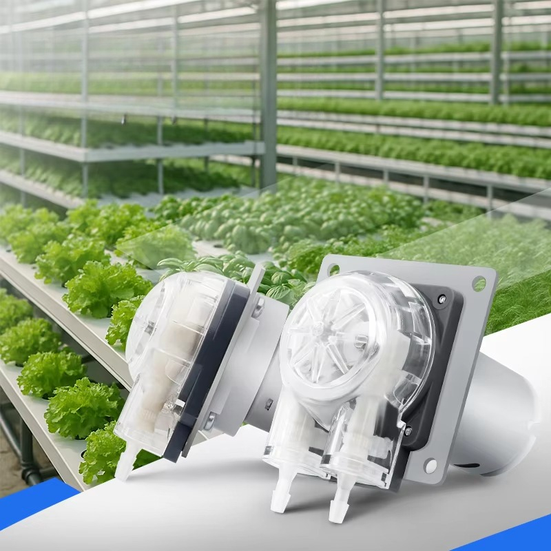 มอเตอร์ดีซี 12V 24V เสียงเบา ป - Hydroponic System บทวิจารณ์และราคา