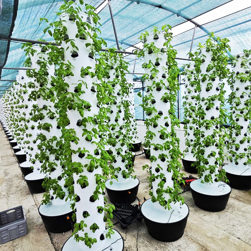 ระบบปลูกพืชไฮโดรโปนิกส์แนวตั้ง - Hydroponic System บทวิจารณ์และราคา