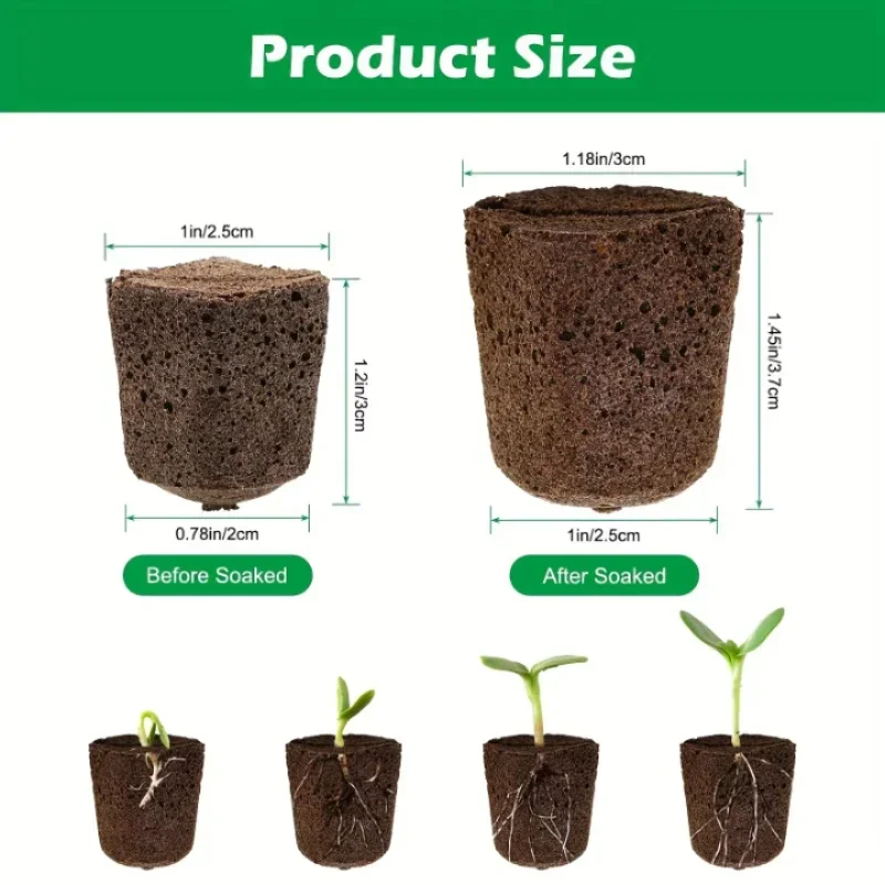 ชุดฟองน้ำเริ่มต้นการเพาะเมล็ดส - Hydroponic System บทวิจารณ์และราคา