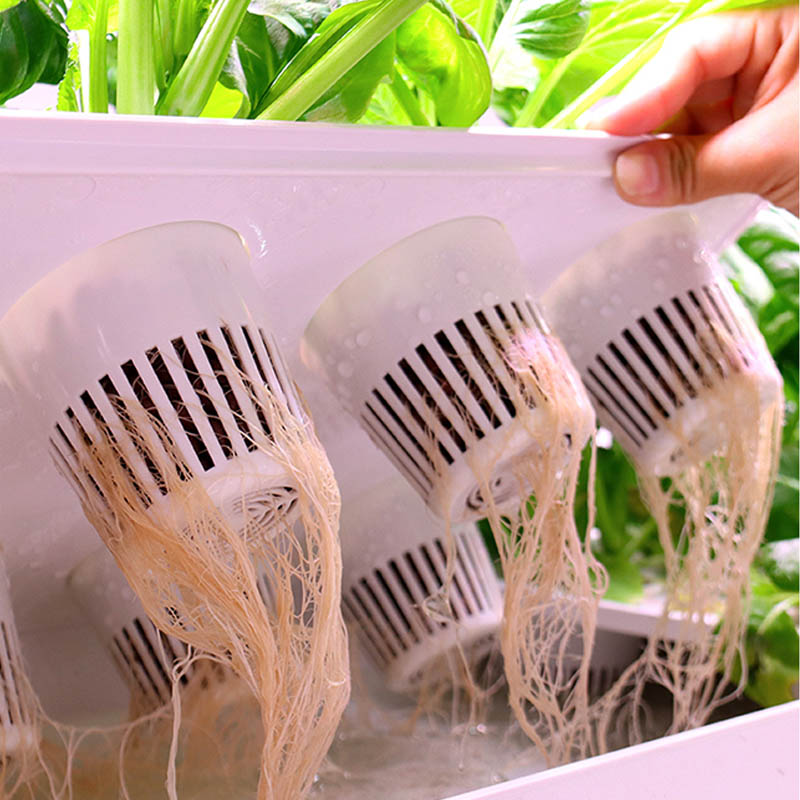 ระบบปลูกพืชไฮโดรโปนิกส์ ระบบอั - Hydroponic System บทวิจารณ์และราคา