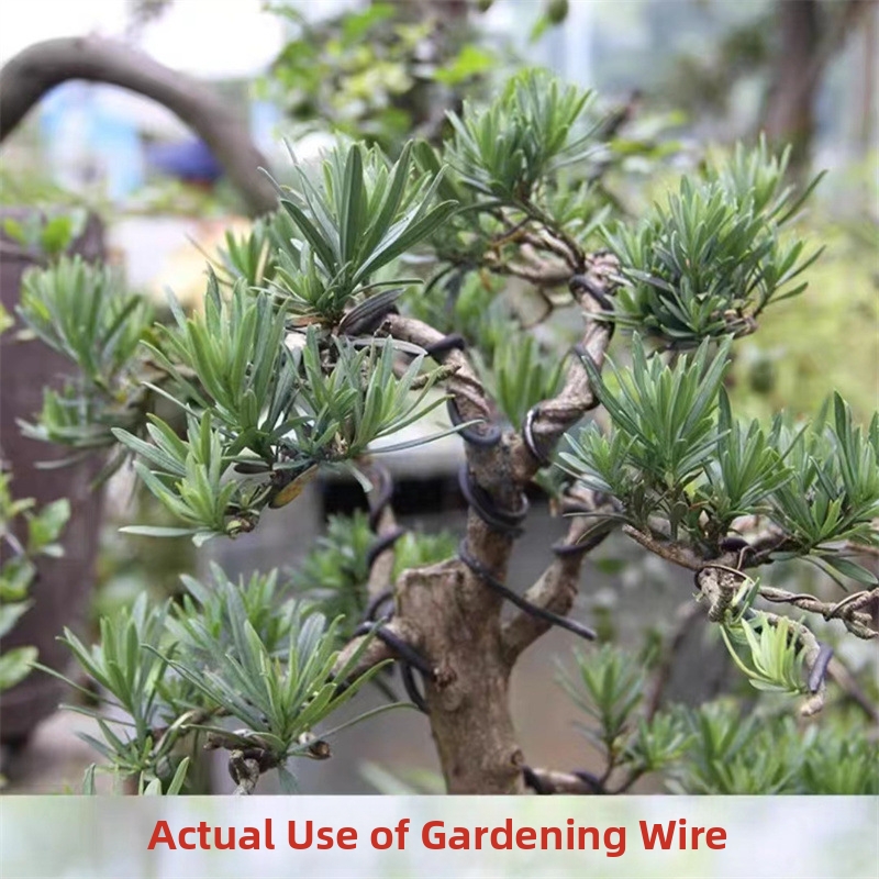 ลวดบอนไซอะลูมิเนียมขนาด 1.5 มม - Gardening Tools For Home บทวิจารณ์และราคา