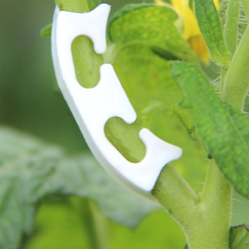 50/100Pcs Botany-Stem Vine สาย - Gardening Tools For Vines บทวิจารณ์และราคา