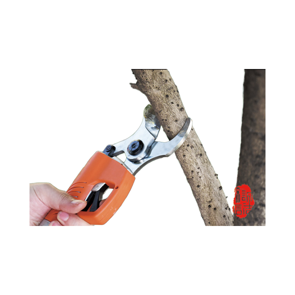 กรรไกรตัดกิ่งไม้ไร้สาย รุ่นปี  - Gardening Tools To Cut Branches บทวิจารณ์และราคา