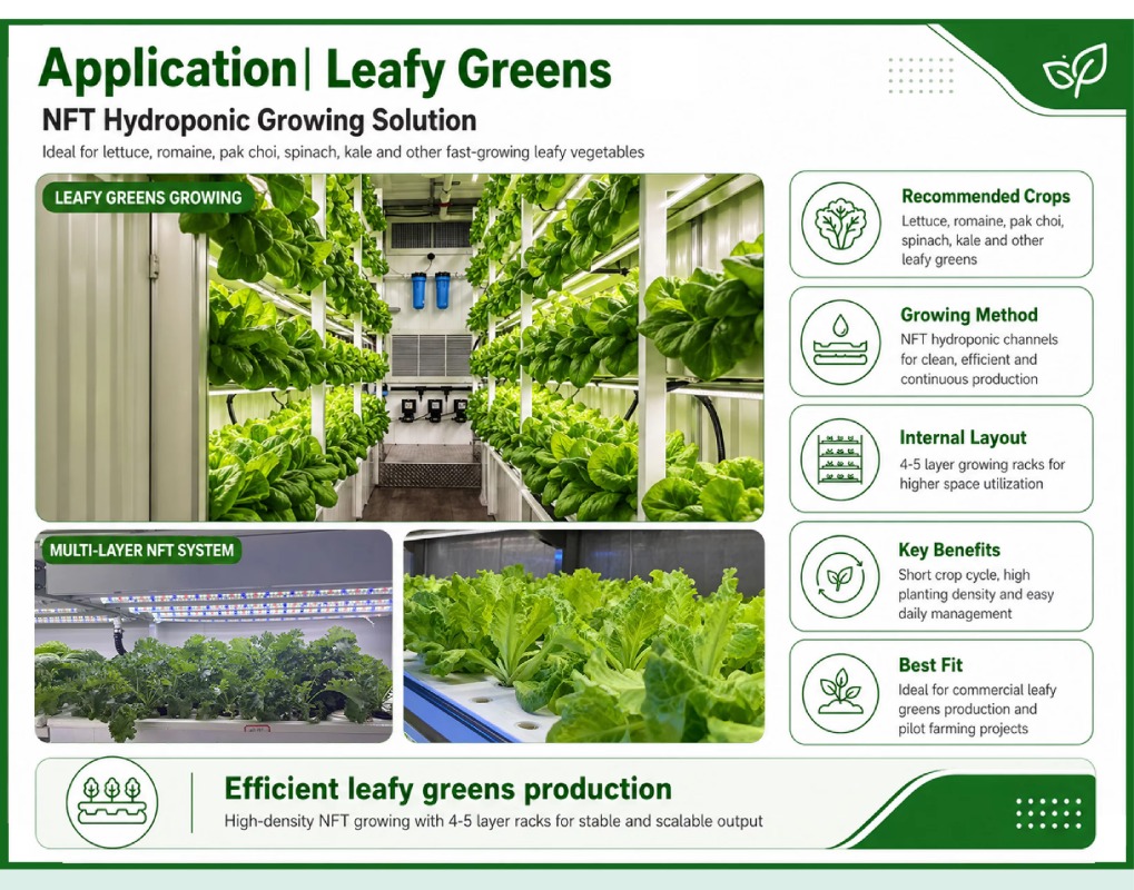 ระบบการปลูกพืชแบบไฮโดรโปนิกส์แ - Hydroponic System บทวิจารณ์และราคา