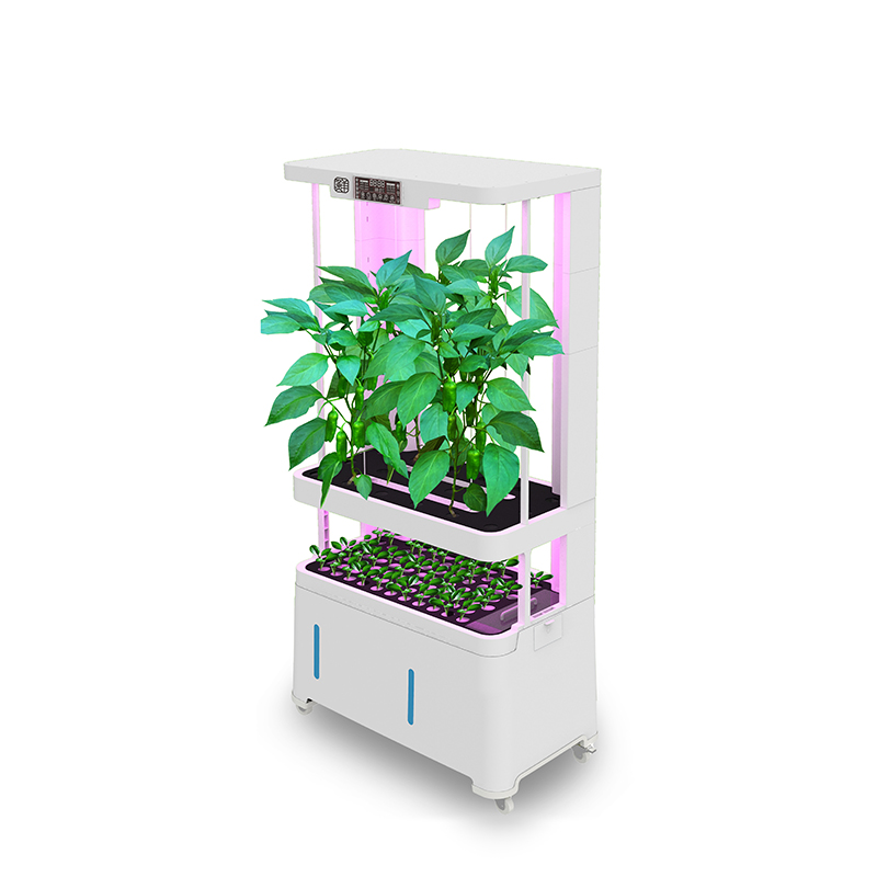 อุปกรณ์ไฮโดรโปนิกส์อัจฉริยะไฮเ - Hydroponic System บทวิจารณ์และราคา
