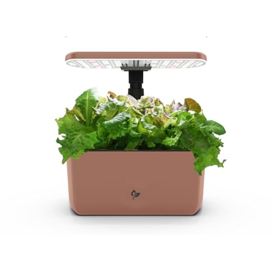 สวนไฮโดรโปนิกส์ในร่มสำหรับปลูก - Hydroponic System บทวิจารณ์และราคา